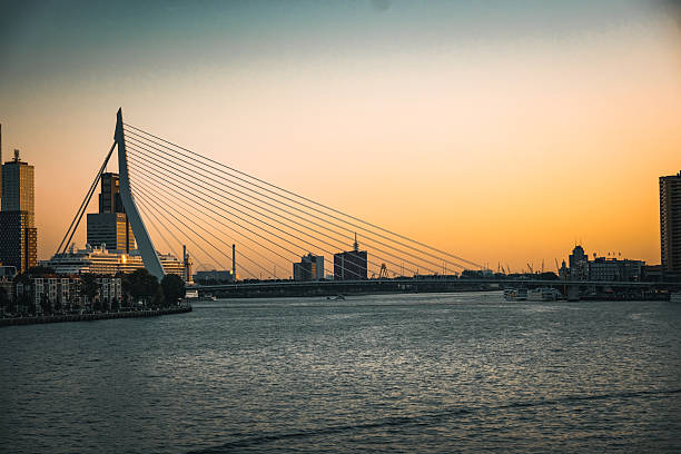 Rotterdam City View