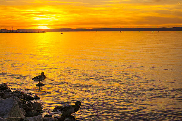 Amazing sunset in Siofok on the Lake Balaton, Hungary