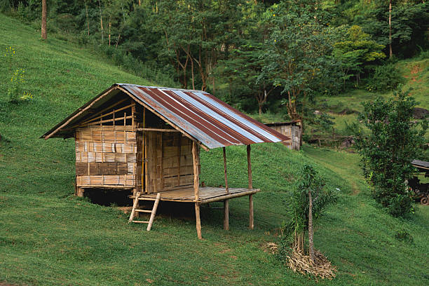 Rustic Bamboo House Surrounded by Lush Greenery in Rural Landscape, Natural Setting, Simple Architecture, Peaceful Retreat, Eco-Friendly Design