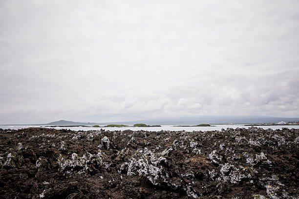 Volcanic landscape and ocean, Isabela Island, Galapagos