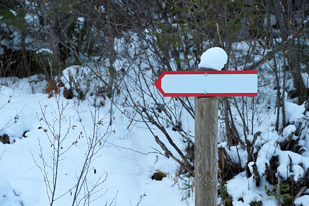 Blank directional arrow on a wooden post in a winter forest setting. Copy space for text.