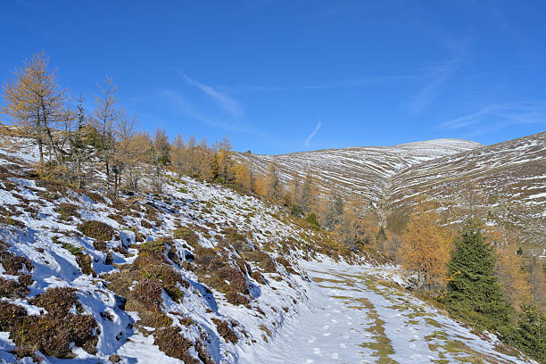 Snow covering a winding path through autumn larches in the Lachtal mountains