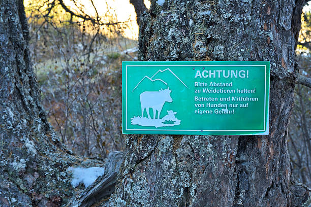 German sign warning to keep distance from cattle and bring dogs at own risk