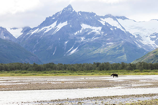 Beautiful landscape view of Katmai National Park in coastal Alaska.