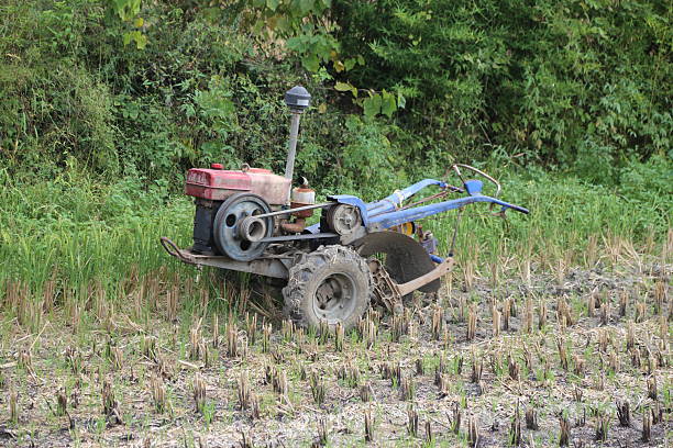 a small blue and red miniature tractor with four wheels is working in the rice field, breaking up the seedlings by plowing them under. the photo was taken from an angle of about one meter above the ground, with green trees behind it.