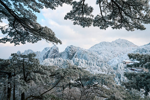 Karst mountain landscape, mountains and forests