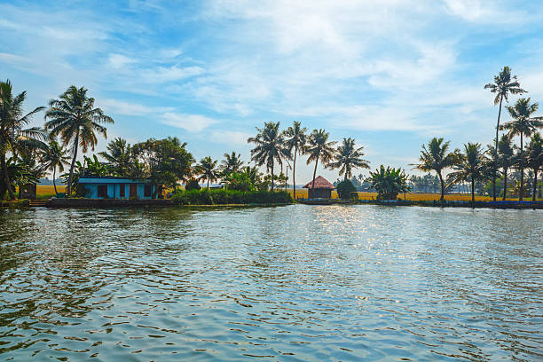 Immerse yourself in the serene beauty of the Kerala backwaters in India, where shimmering canal waters reflect the golden afternoon sun against a lush backdrop of towering palm trees and modest shoreline dwellings, offering a peaceful glimpse into traditional tropical life.