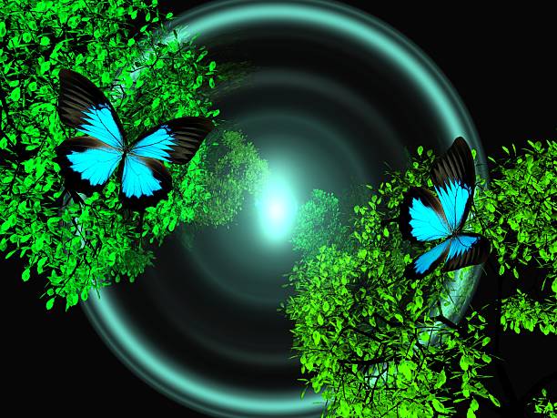 Butterflies in green garden with yellow flowers.