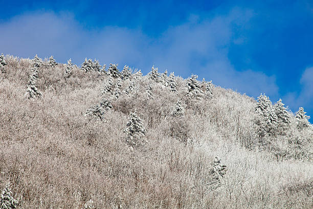 Snow Mountain,South Korea