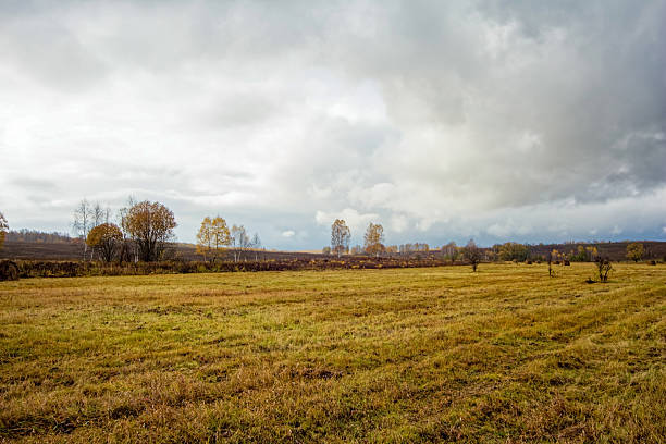 A mown field in late autumn on a cloudy day, Russia