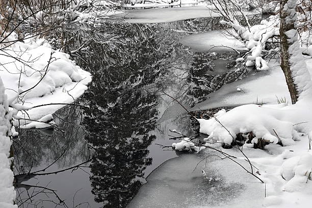 A quiet and mesmerizing spectacle of reflections unfolds on the surface of a forest stream. In the unfrozen, dark water, like a living mirror, the snow-covered world appears double, creating the illusion of a parallel reality. The branches of the bushes, covered in fresh snow, are reflected in the stream as clear dark silhouettes, turning the water's surface into a complex lace of shadows and white highlights.