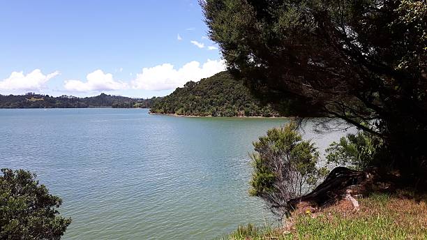 New Zealand Landscape