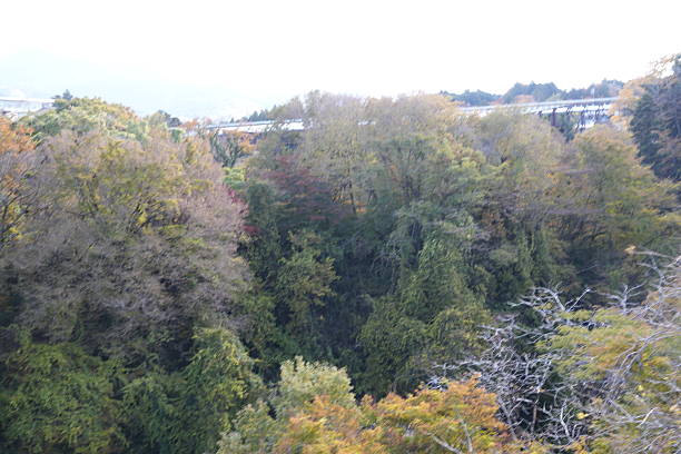 Scenic view of autumn trees and forested hills in Gotemba, Shizuoka Prefecture, Japan.