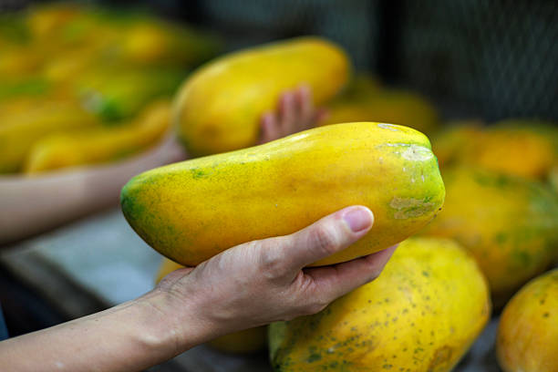 Close-up of a person selecting a ripe papaya by hand at a local market stall. Fresh tropical fruit displayed in the background, highlighting healthy eating, food shopping, and everyday market life.