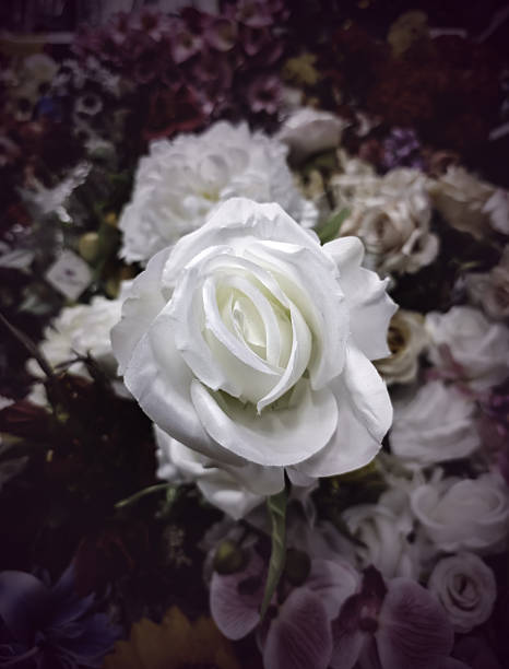 Detail of fresh flowers in a market, romantic gift