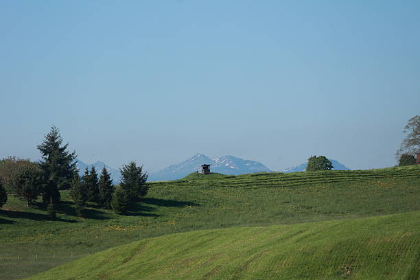 A beautiful, serene landscape with a large mountain range in the background. The sky is clear and blue, and the grass is lush and green. The scene is peaceful and calming