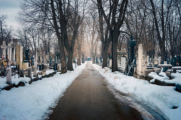 Asphalt footpath at the new cemetery at Karaburma in Belgrade, Serbia.