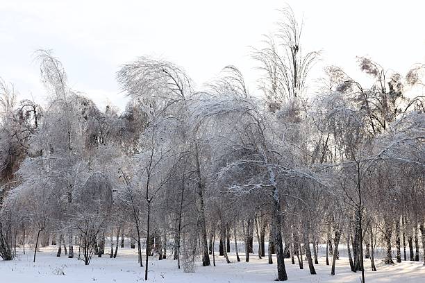 Fairytale winter landscape of Warmia, Poland
