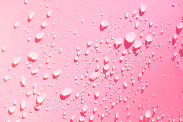 Water drops on pink background. Pink water bubbles on the surface ripples. Defocus blurred transparent pink colored clear calm water surface texture with splash and bubbles. Water waves with shining.