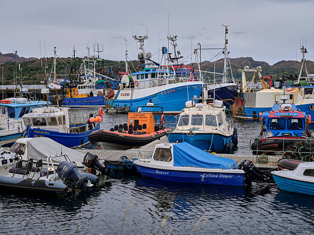 Gairloch, Wester Ross, Scotland, UK. September 27th 2025. Views of and around Gairloch harbour with prawn fishing vessels and related equipment. Wester Ross