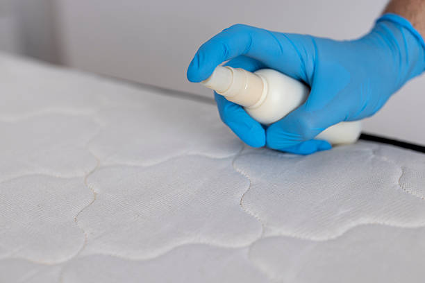 istock Disinfecting Mattress Surface with Spray and Protective Gloves 2257038199