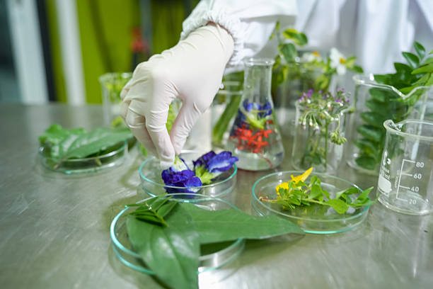 A scientist carefully examines vibrant floral specimens in a lab showcasing the beauty and complexity of nature.
