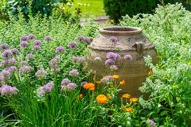 Old Urn in Herbal garden