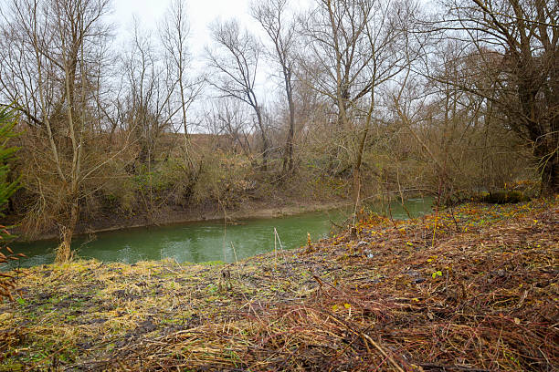 ​A quiet river with greenish water flows through a wilderness surrounded by thickets of bare trees and remnants of dry vegetation. The gloomy landscape of late autumn or early winter creates a calm, melancholic mood, emphasizing the natural beauty of dormant nature.