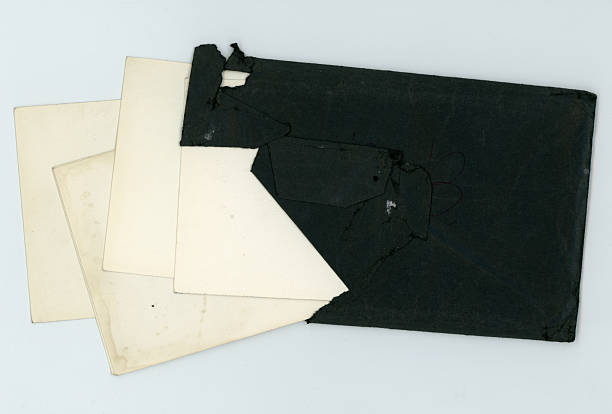 Vintage Blank Postcard.