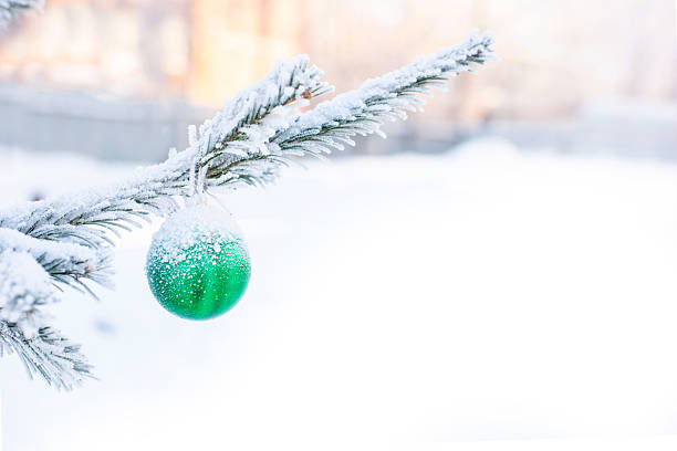 Christmas Ornament on Snowy Spruce Branch. Green Christmas Ball on Snowy Spruce Branch.