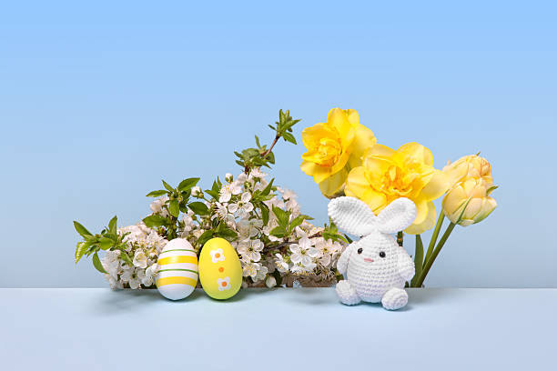 White Easter knitted bunnies with yellow and white eggs and blooming spring cherry branches, yellow tulips and daffodils on blue background. Concept of Easter