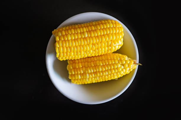 Top view of fresh boiled sweet corn cobs served on a white plate against a black background.
