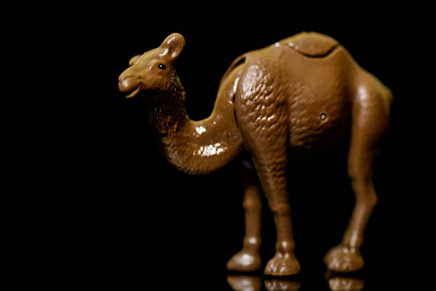 Camel animal as a toy on a black glass background