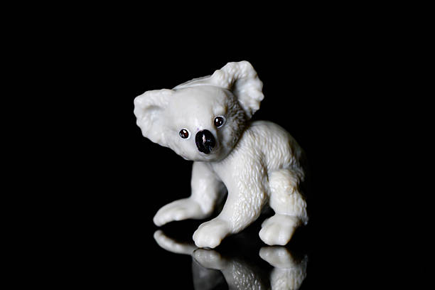 Toy koala on a black glass background
