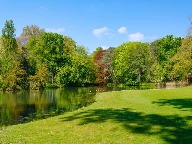 A professional high-resolution landscape of a pristine golf course in the countryside. The scene features a tranquil pond reflecting the surrounding forest and lush green trees under a vast, clear blue sky. This vibrant summer day capture emphasizes the serene beauty of the environment, offering a clean and luxurious backdrop with ample copy space.