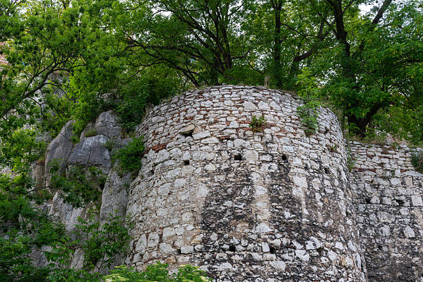 Rounded historic stone structure blends into dense green woodland. Aged masonry, cracks, and rough texture create a moody scene of old ruins reclaimed by nature under soft daylight. Tyniec Abbey