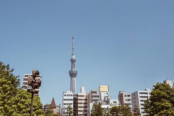 Tokyo Skytree towering over a modern residential district in Tokyo, Japan, under a clear blue sky. The iconic broadcasting and observation tower dominates the urban skyline, surrounded by mid-rise apartment buildings and greenery. A clean, minimalist cityscape representing modern Japan, architecture, travel, and urban lifestyle.