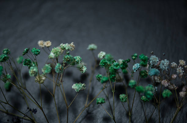 A captivating display of arranged dried flowers on vibrant greenery, set against a charming rustic wooden backdrop