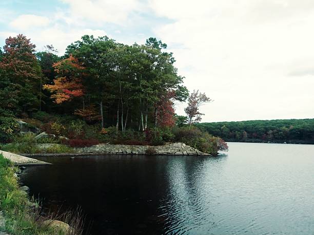 autumn scenery