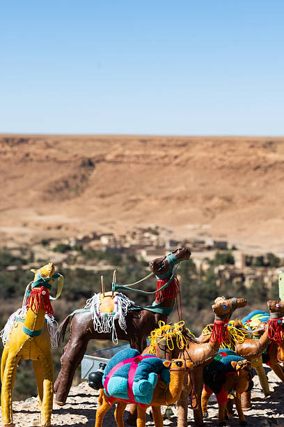 Tuareg with camel on the western part of The Sahara Desert in Morocco. The Sahara Desert is the world's largest hot desert.