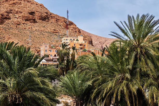 A rural Moroccan scene featuring lush palm groves in the foreground and a colorful hillside village set against rugged red mountains, capturing desert oasis and traditional architecture under clear skies.