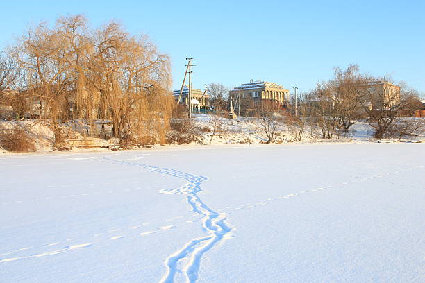 A snowy road with trees and buildings. Outdoor. Sky. Snow. Nature. Shore