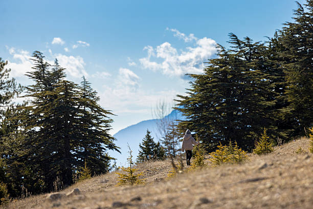Alpinist climbers are walking on mountain crest on extreme harsh conditions  before reaching the peak