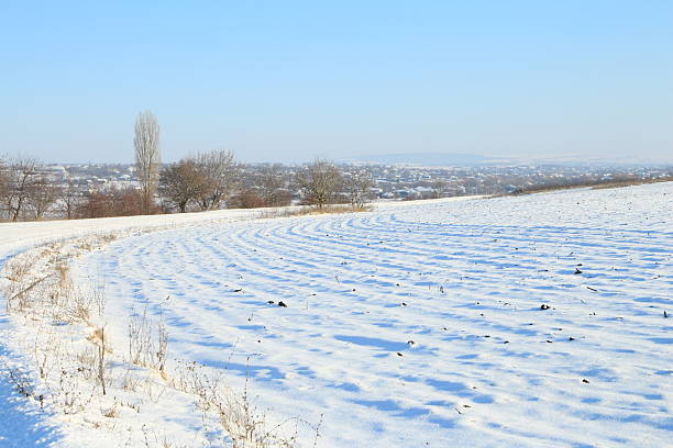 A snowy field with trees. Outdoor. Snow. Sky. Nature. Day