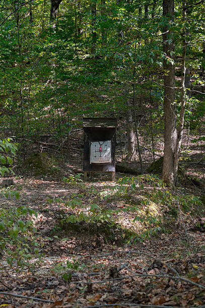 Paper target displaying shot marks on a stand in a wooded area for archery or shooting practice