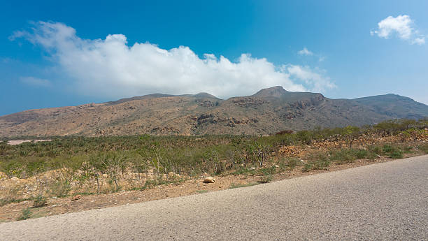 A scenic view of a mountainous landscape with a clear blue sky and scattered clouds, featuring a road in the foreground and sparse vegetation.