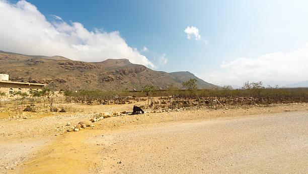 A barren landscape with rocky terrain, sparse vegetation, and distant mountains under a bright blue sky with scattered clouds.
