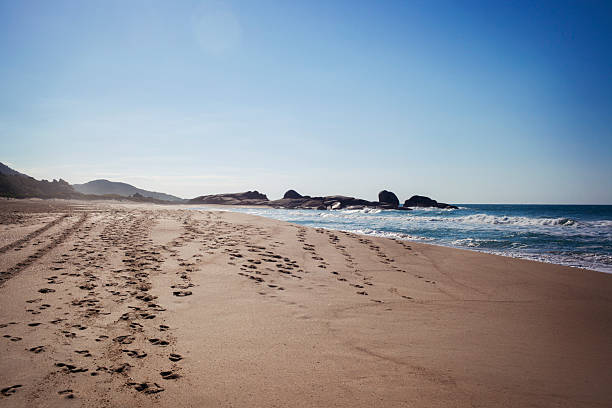Beautiful day in Praia Mole Beach in Florianopolis, SC, Brazil