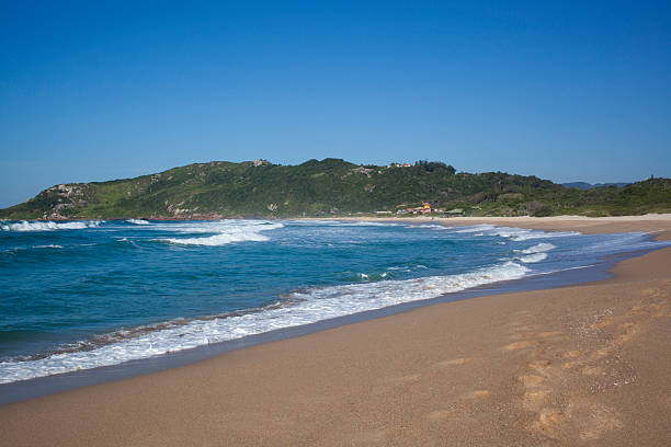 Beautiful day in Praia Mole Beach in Florianopolis, SC, Brazil
