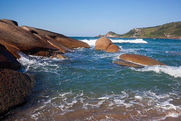 Beautiful day in Praia Mole Beach in Florianopolis, SC, Brazil